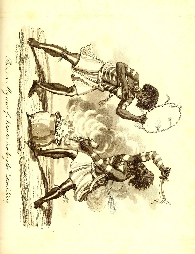 An illustration from Journal of a residence in Ashantee, comprising notes and researches relative to the Gold Coast, and the interior of Western Africa, chiefly collected from Arabic mss. and information communicated by the Moslems of Guinea: to which is prefixed an account of the origin and causes of the present war. Illustrated with a map and plates, 1824, leaf 463