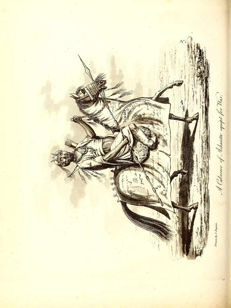 An illustration from Journal of a residence in Ashantee, comprising notes and researches relative to the Gold Coast, and the interior of Western Africa, chiefly collected from Arabic mss. and information communicated by the Moslems of Guinea: to which is prefixed an account of the origin and causes of the present war. Illustrated with a map and plates, 1824, leaf 472
