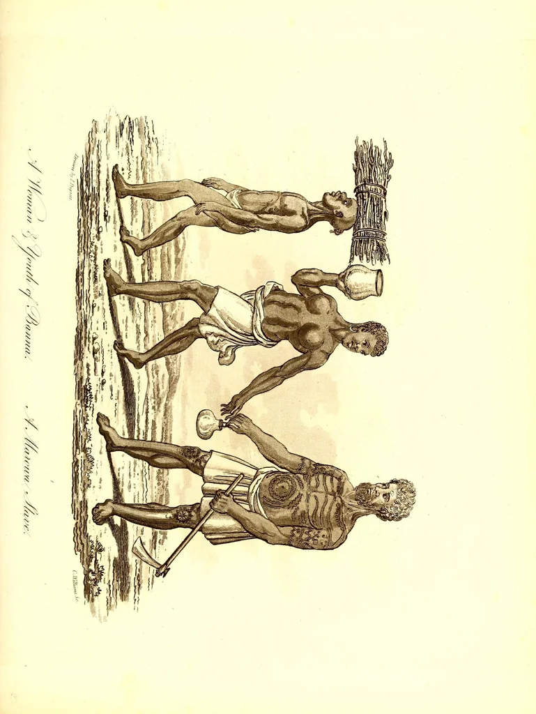 An illustration from Journal of a residence in Ashantee, comprising notes and researches relative to the Gold Coast, and the interior of Western Africa, chiefly collected from Arabic mss. and information communicated by the Moslems of Guinea: to which is prefixed an account of the origin and causes of the present war. Illustrated with a map and plates, 1824, leaf 477