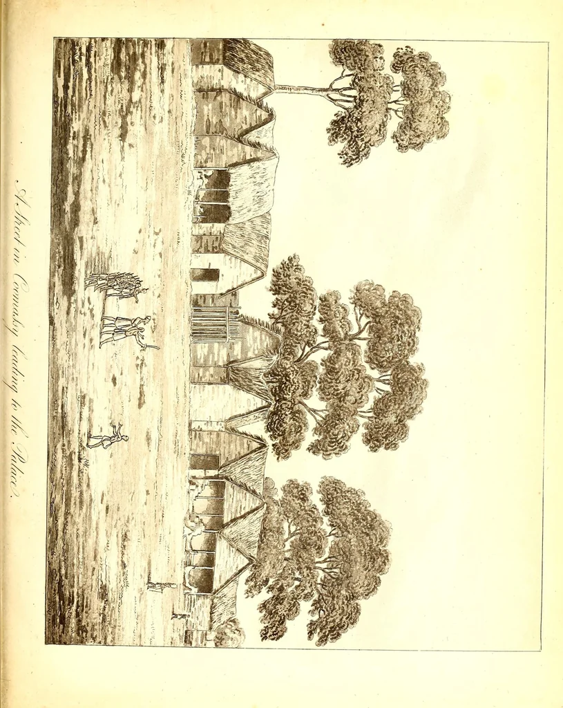 An illustration from Journal of a residence in Ashantee, comprising notes and researches relative to the Gold Coast, and the interior of Western Africa, chiefly collected from Arabic mss. and information communicated by the Moslems of Guinea: to which is prefixed an account of the origin and causes of the present war. Illustrated with a map and plates, 1824, leaf 481