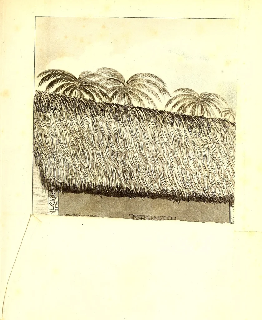 An illustration from Journal of a residence in Ashantee, comprising notes and researches relative to the Gold Coast, and the interior of Western Africa, chiefly collected from Arabic mss. and information communicated by the Moslems of Guinea: to which is prefixed an account of the origin and causes of the present war. Illustrated with a map and plates, 1824, leaf 489