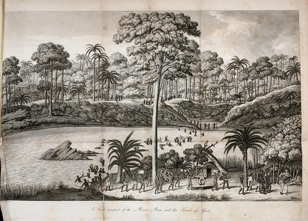 An illustration from Journal of a residence in Ashantee, comprising notes and researches relative to the Gold Coast, and the interior of Western Africa, chiefly collected from Arabic mss. and information communicated by the Moslems of Guinea: to which is prefixed an account of the origin and causes of the present war. Illustrated with a map and plates, 1824, leaf 495