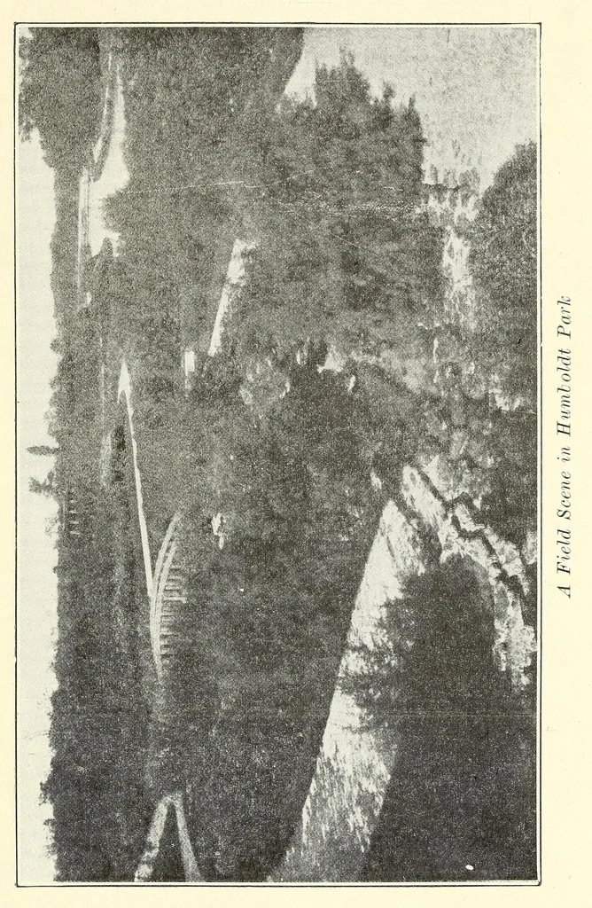 An illustration from The Journal of roentgenology, 1918, leaf 309