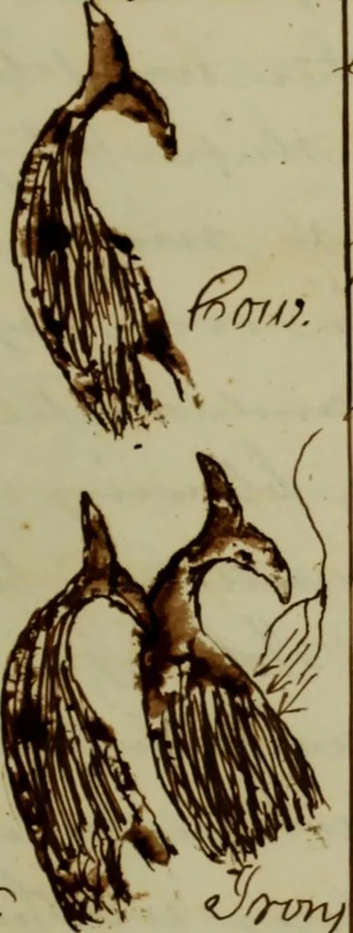 An illustration from [Journal of the Saratoga (Ship) of New Bedford, Mass. mastered by Frederick Slocum, kept by Washington Fosdick, on voyage from April 23, 1857 - December 12, 1858], 1857, leaf 150