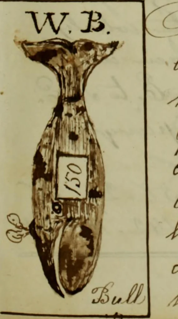 An illustration from [Journal of the Saratoga (Ship) of New Bedford, Mass. mastered by Frederick Slocum, kept by Washington Fosdick, on voyage from April 23, 1857 - December 12, 1858], 1857, leaf 20