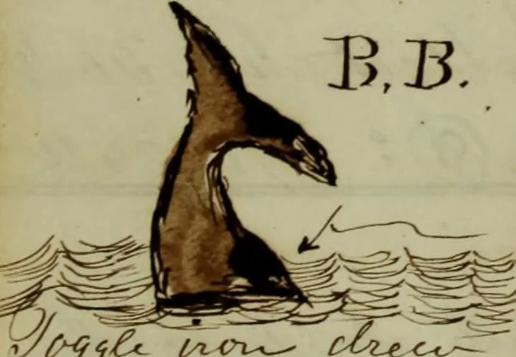 An illustration from [Journal of the Saratoga (Ship) of New Bedford, Mass. mastered by Frederick Slocum, kept by Washington Fosdick, on voyage from April 23, 1857 - December 12, 1858], 1857, leaf 217