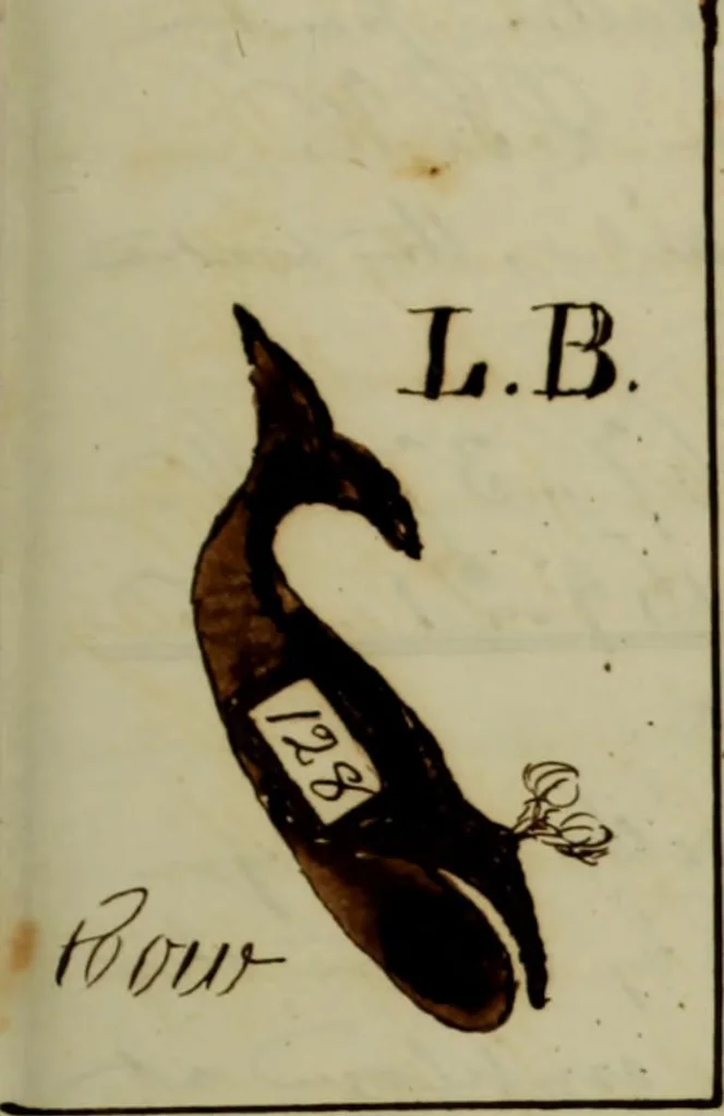 An illustration from [Journal of the Saratoga (Ship) of New Bedford, Mass. mastered by Frederick Slocum, kept by Washington Fosdick, on voyage from April 23, 1857 - December 12, 1858], 1857, leaf 228