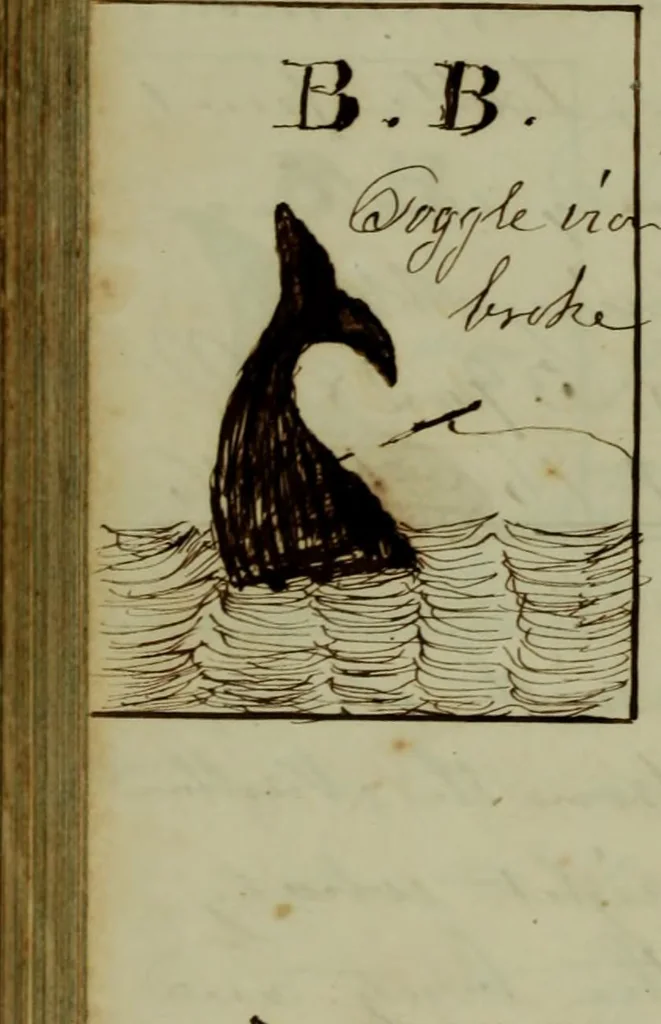 An illustration from [Journal of the Saratoga (Ship) of New Bedford, Mass. mastered by Frederick Slocum, kept by Washington Fosdick, on voyage from April 23, 1857 - December 12, 1858], 1857, leaf 263
