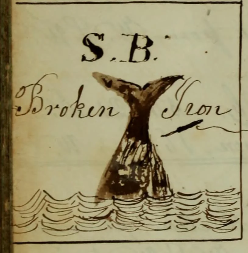 An illustration from [Journal of the Saratoga (Ship) of New Bedford, Mass. mastered by Frederick Slocum, kept by Washington Fosdick, on voyage from April 23, 1857 - December 12, 1858], 1857, leaf 59