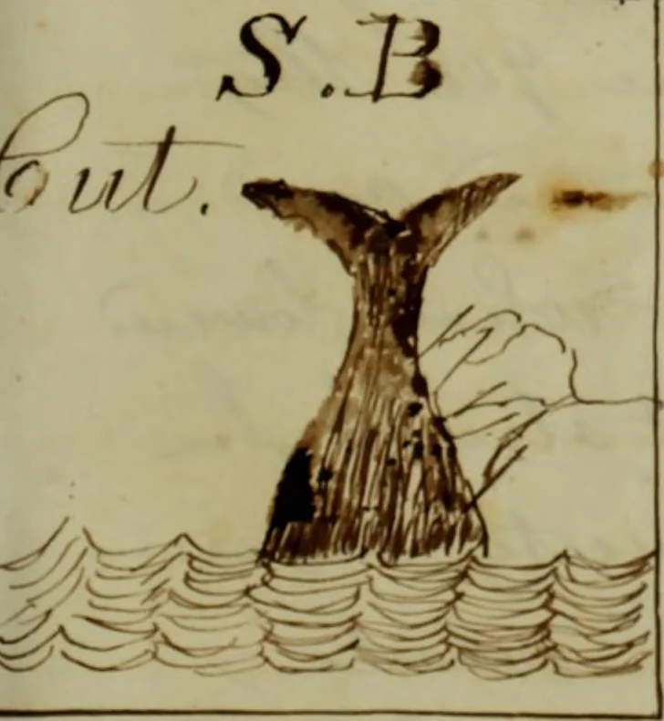 An illustration from [Journal of the Saratoga (Ship) of New Bedford, Mass. mastered by Frederick Slocum, kept by Washington Fosdick, on voyage from April 23, 1857 - December 12, 1858], 1857, leaf 60