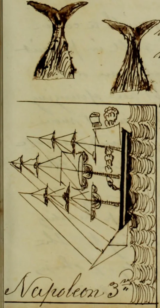 An illustration from [Journal of the Saratoga (Ship) of New Bedford, Mass. mastered by Frederick Slocum, kept by Washington Fosdick, on voyage from April 23, 1857 - December 12, 1858], 1857, leaf 64