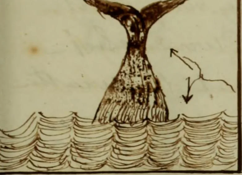 An illustration from [Journal of the Saratoga (Ship) of New Bedford, Mass. mastered by Frederick Slocum, kept by Washington Fosdick, on voyage from April 23, 1857 - December 12, 1858], 1857, leaf 70