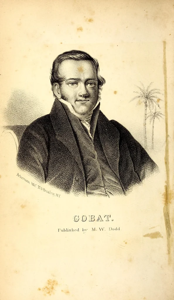 An illustration from Journal of three years' residence in Abyssinia, 1850, leaf 8