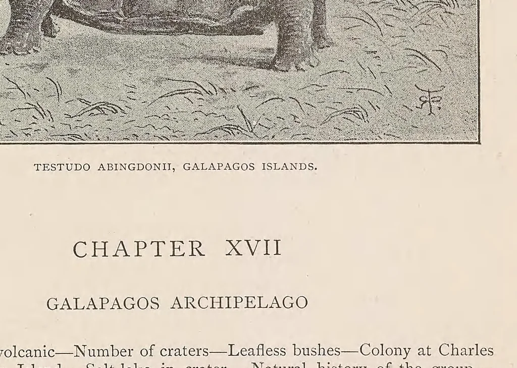 An illustration from Journal of researches into the natural history and geology of the countries visited during the voyage round the world of the H.M.S. 'Beagle' : under the command of Capt. Fitz Roy, R.N., 1890, leaf 435