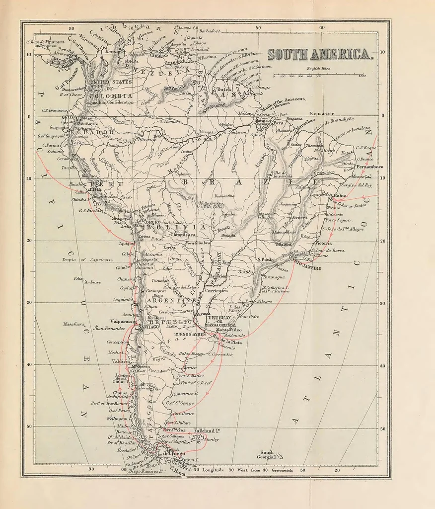 An illustration from Journal of researches into the natural history and geology of the countries visited during the voyage round the world of the H.M.S. 'Beagle' : under the command of Capt. Fitz Roy, R.N., 1890, leaf 599