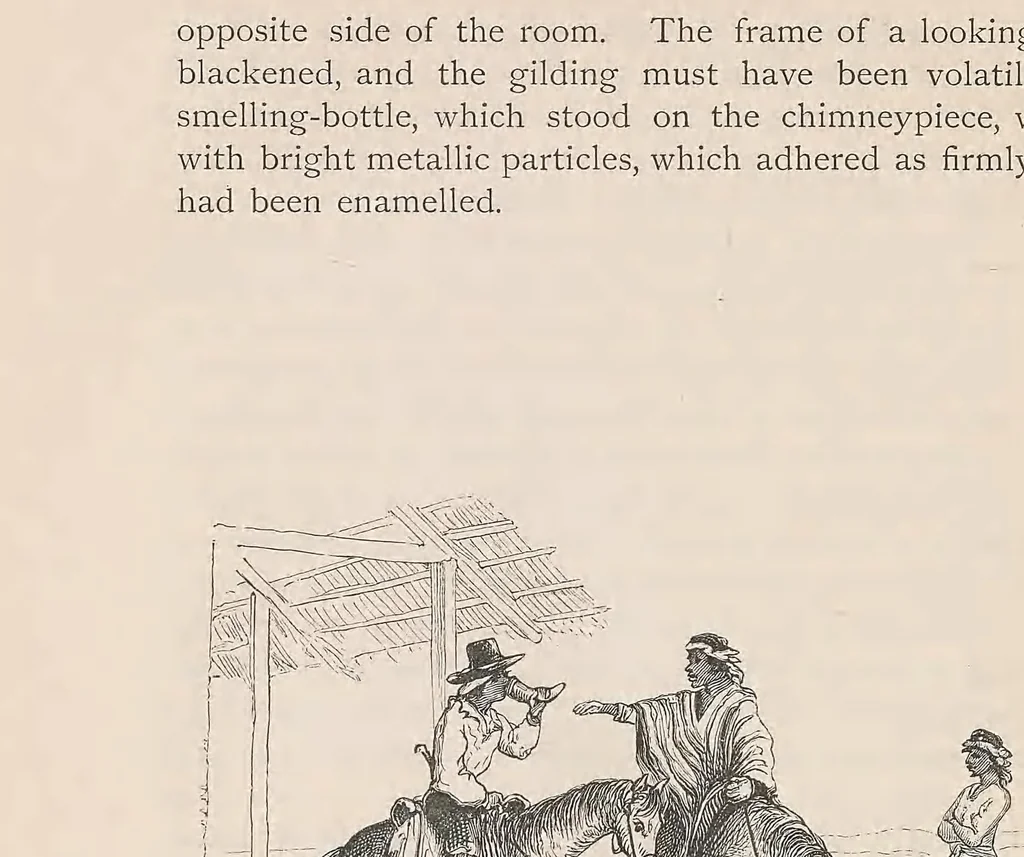 An illustration from Journal of researches into the natural history and geology of the countries visited during the voyage round the world of the H.M.S. 'Beagle' : under the command of Capt. Fitz Roy, R.N., 1890, leaf 92