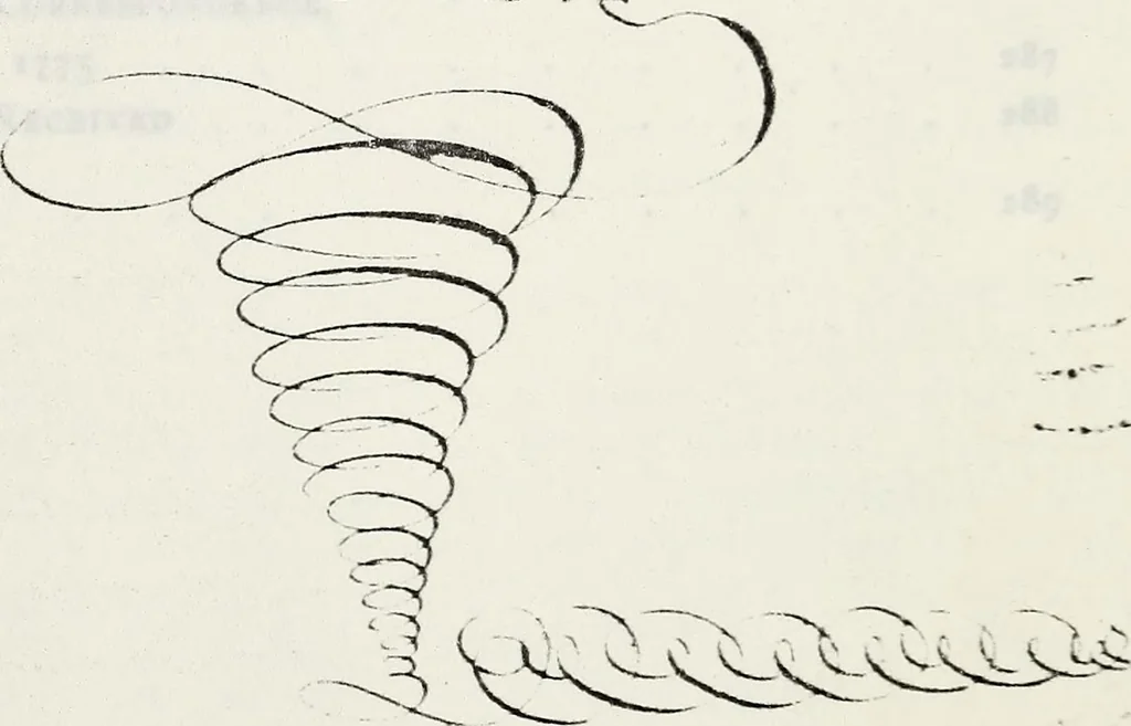 An illustration from Journals of the House of Burgesses of Virginia, 1619, leaf 12