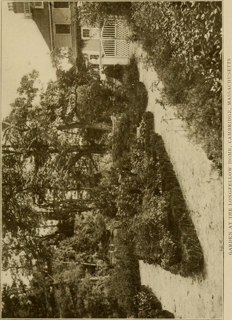 An illustration from The joy of gardens, 1911, leaf 116