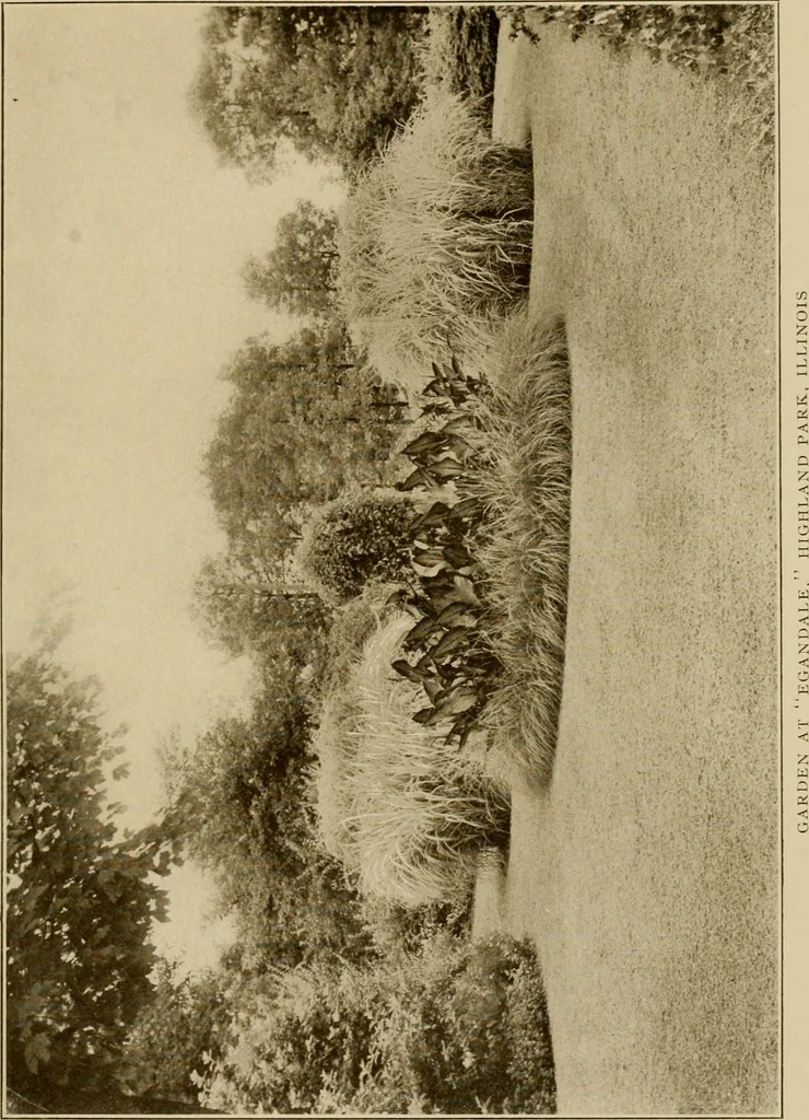 An illustration from The joy of gardens, 1911, leaf 170