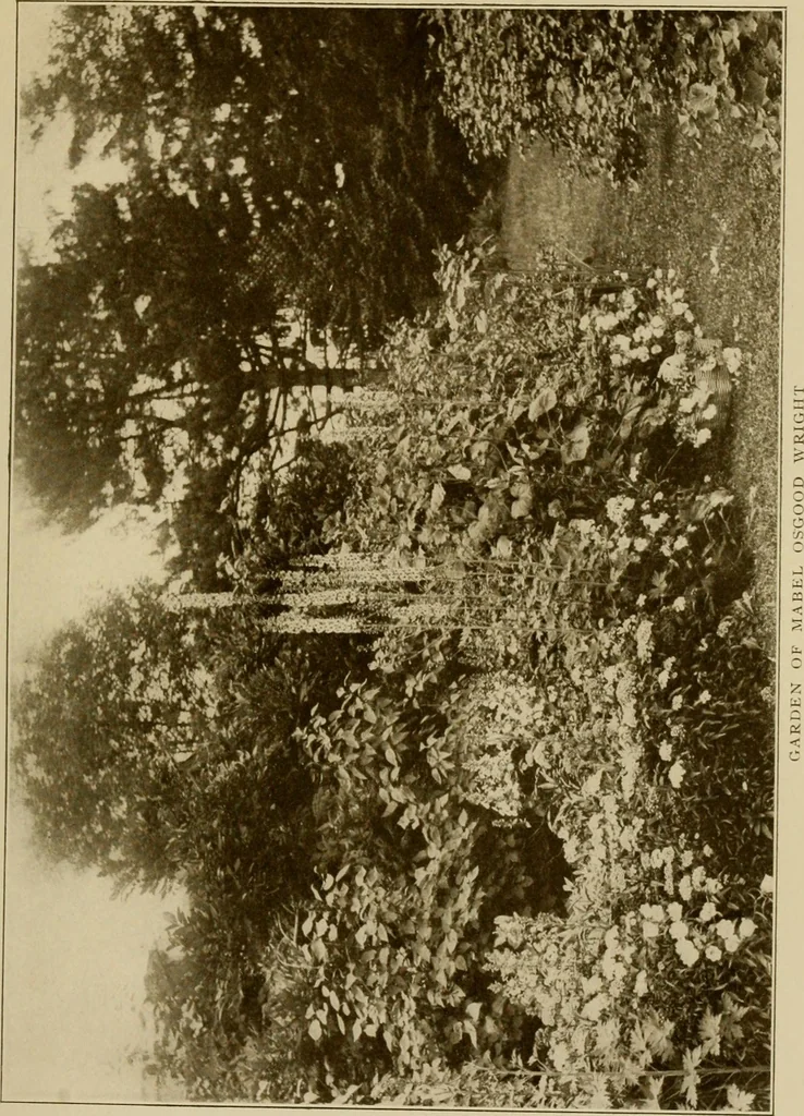 An illustration from The joy of gardens, 1911, leaf 184