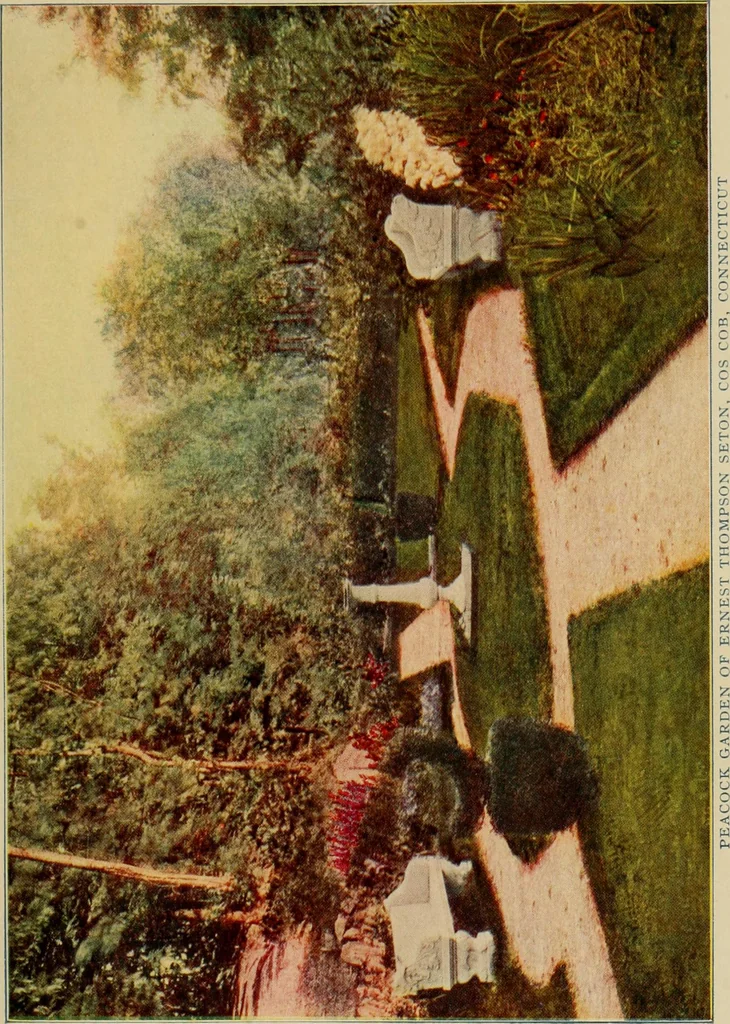 An illustration from The joy of gardens, 1911, leaf 212