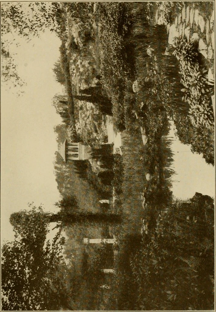 An illustration from The joy of gardens, 1911, leaf 224