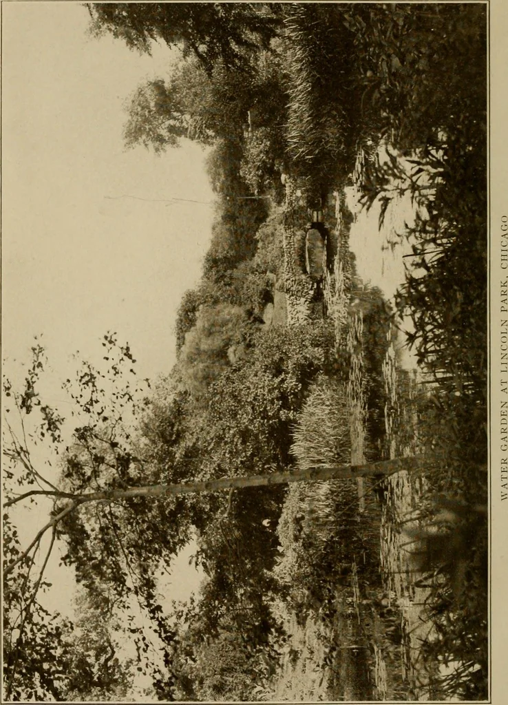 An illustration from The joy of gardens, 1911, leaf 277