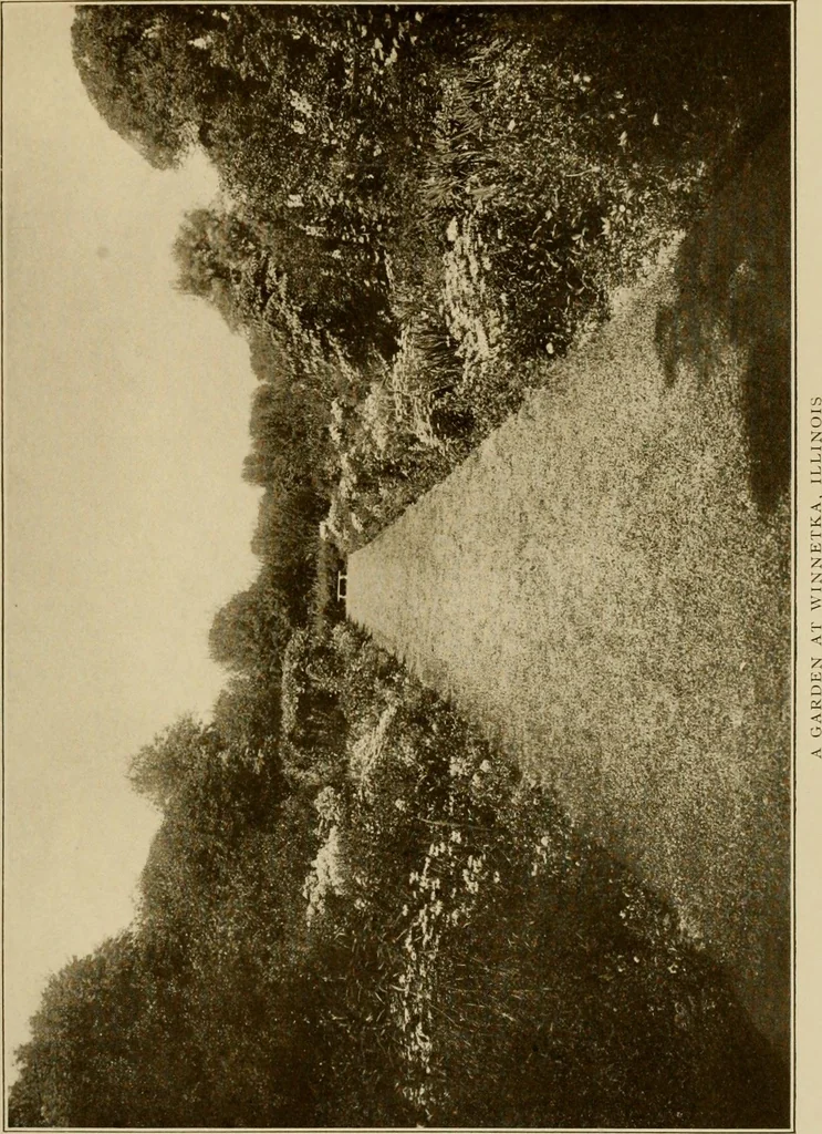 An illustration from The joy of gardens, 1911, leaf 312