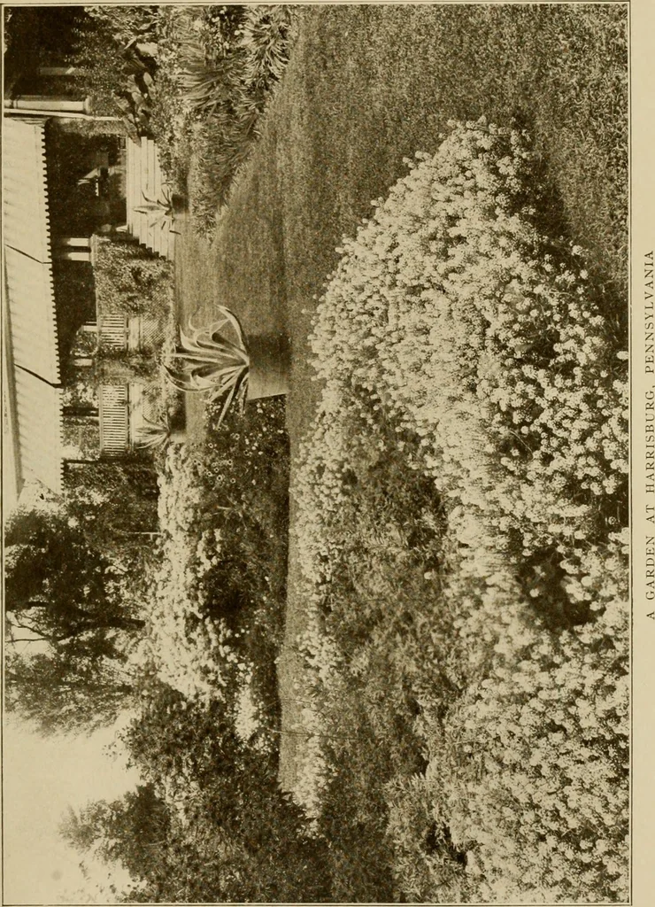 An illustration from The joy of gardens, 1911, leaf 36