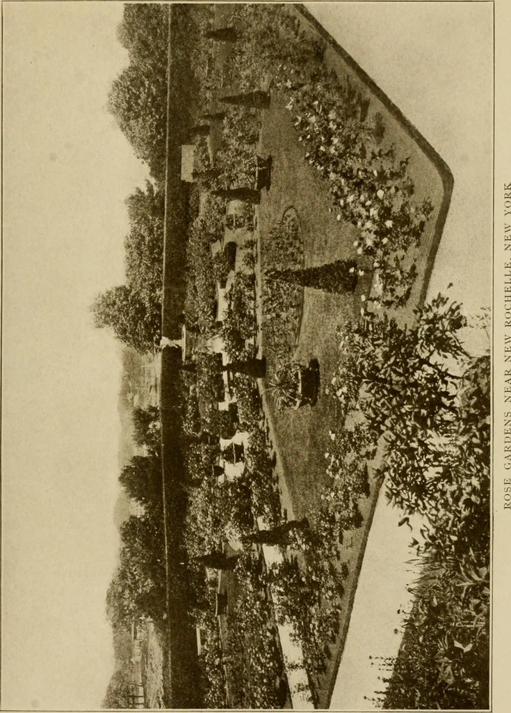 An illustration from The joy of gardens, 1911, leaf 42