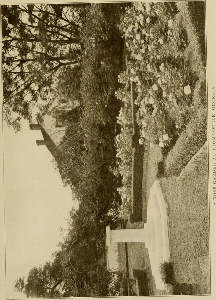 An illustration from The joy of gardens, 1911, leaf 58