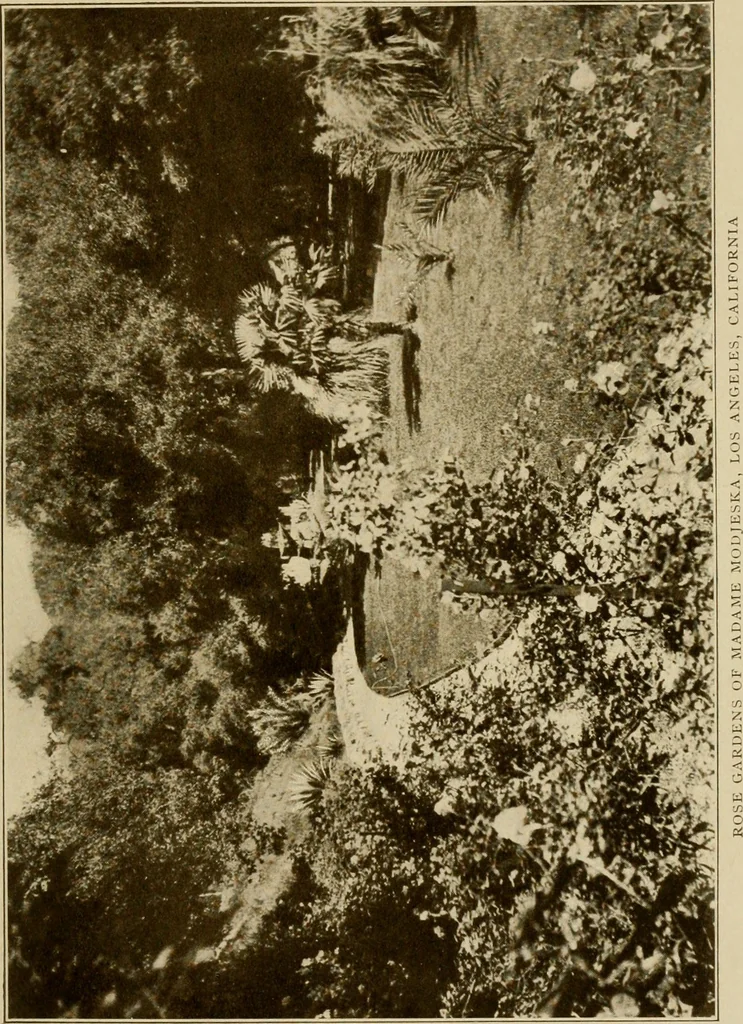 An illustration from The joy of gardens, 1911, leaf 86