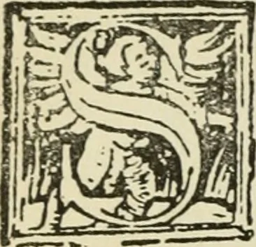 An illustration from Új testamentu maar ellven, mellet az görög és diák ellvbol ... fordijtant [Sylvester János.], 1541, leaf 13