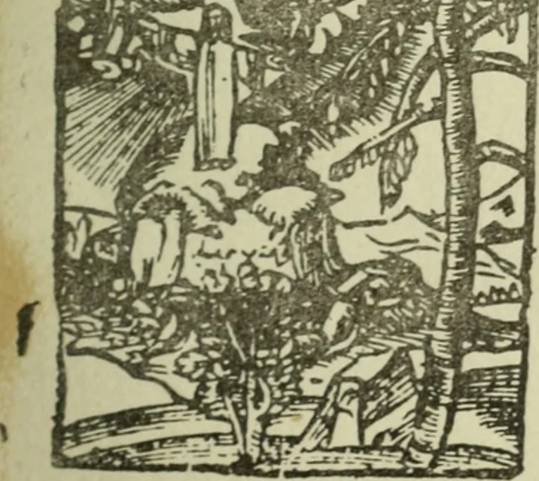 An illustration from Új testamentu maar ellven, mellet az görög és diák ellvbol ... fordijtant [Sylvester János.], 1541, leaf 134