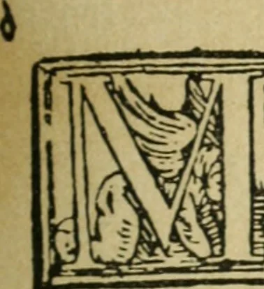An illustration from Új testamentu maar ellven, mellet az görög és diák ellvbol ... fordijtant [Sylvester János.], 1541, leaf 166