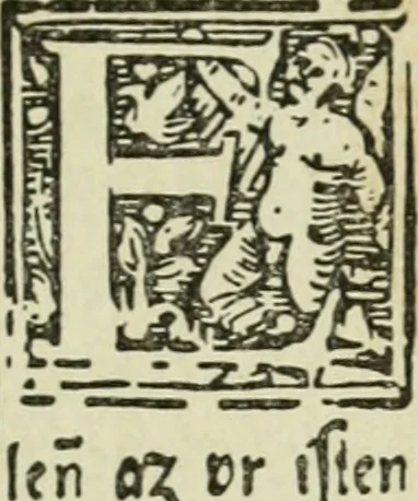 An illustration from Új testamentu maar ellven, mellet az görög és diák ellvbol ... fordijtant [Sylvester János.], 1541, leaf 204