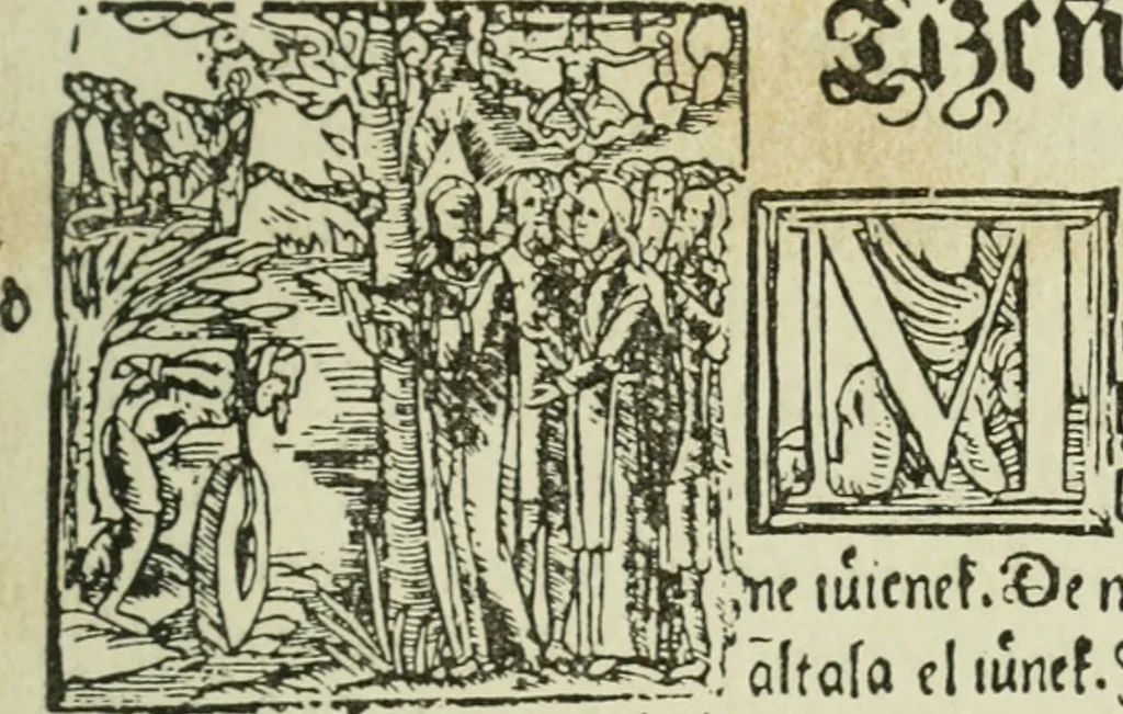 An illustration from Új testamentu maar ellven, mellet az görög és diák ellvbol ... fordijtant [Sylvester János.], 1541, leaf 228