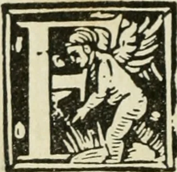 An illustration from Új testamentu maar ellven, mellet az görög és diák ellvbol ... fordijtant [Sylvester János.], 1541, leaf 241