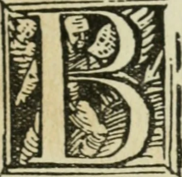 An illustration from Új testamentu maar ellven, mellet az görög és diák ellvbol ... fordijtant [Sylvester János.], 1541, leaf 292