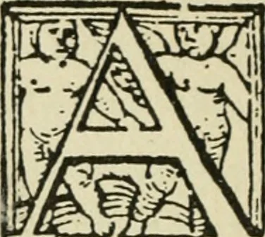 An illustration from Új testamentu maar ellven, mellet az görög és diák ellvbol ... fordijtant [Sylvester János.], 1541, leaf 299