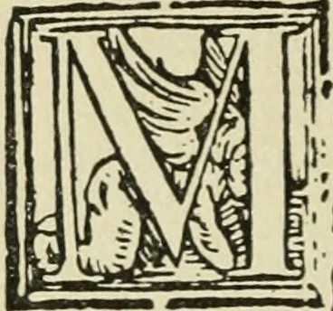 An illustration from Új testamentu maar ellven, mellet az görög és diák ellvbol ... fordijtant [Sylvester János.], 1541, leaf 315