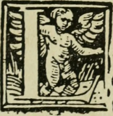 An illustration from Új testamentu maar ellven, mellet az görög és diák ellvbol ... fordijtant [Sylvester János.], 1541, leaf 318