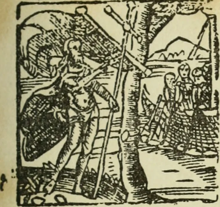 An illustration from Új testamentu maar ellven, mellet az görög és diák ellvbol ... fordijtant [Sylvester János.], 1541, leaf 326