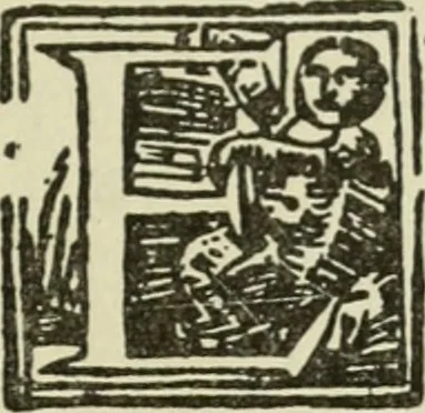 An illustration from Új testamentu maar ellven, mellet az görög és diák ellvbol ... fordijtant [Sylvester János.], 1541, leaf 326