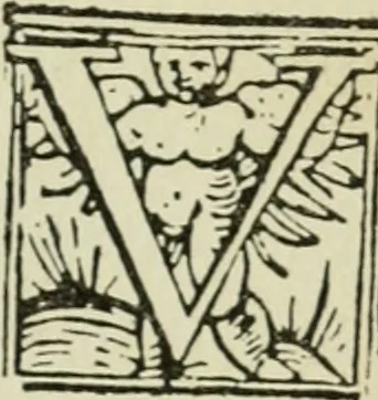 An illustration from Új testamentu maar ellven, mellet az görög és diák ellvbol ... fordijtant [Sylvester János.], 1541, leaf 370