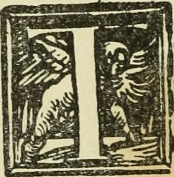 An illustration from Új testamentu maar ellven, mellet az görög és diák ellvbol ... fordijtant [Sylvester János.], 1541, leaf 401
