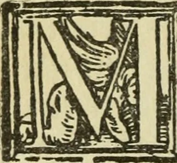 An illustration from Új testamentu maar ellven, mellet az görög és diák ellvbol ... fordijtant [Sylvester János.], 1541, leaf 435