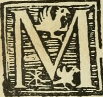 An illustration from Új testamentu maar ellven, mellet az görög és diák ellvbol ... fordijtant [Sylvester János.], 1541, leaf 437