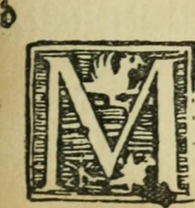 An illustration from Új testamentu maar ellven, mellet az görög és diák ellvbol ... fordijtant [Sylvester János.], 1541, leaf 458