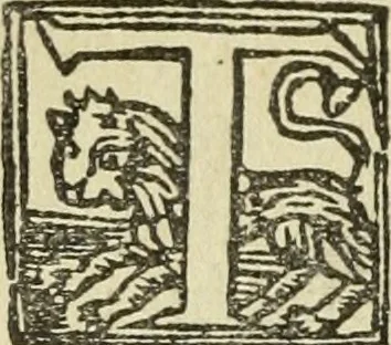 An illustration from Új testamentu maar ellven, mellet az görög és diák ellvbol ... fordijtant [Sylvester János.], 1541, leaf 483